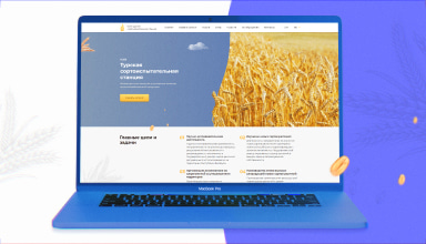 Medialime сайт в портфолио